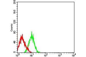 Flow cytometric analysis of HL-60 cells using CD203C mouse mAb (green) and negative control (red). (ENPP3 抗体  (AA 45-163))