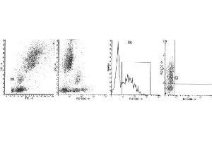 Image no. 1 for anti-CD38 antibody (PerCP-Cy5.5) (ABIN1106335) (CD38 抗体  (PerCP-Cy5.5))