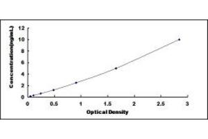 Typical standard curve (RAD23B ELISA 试剂盒)