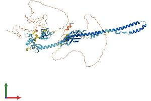Protein Structure (PS) image for Tripartite Motif Containing 42 (TRIM42) (AA 1-723) protein (His tag) (ABIN7560913)