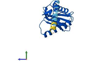 Protein Structure (PS) image for Adaptor-Related Protein Complex 1, sigma 3 Subunit (AP1S3) (AA 1-154) protein (His tag) (ABIN7552165)