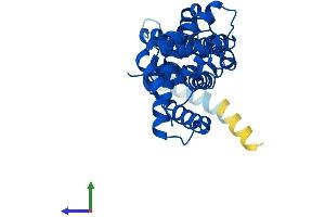 AlphaFold protein structure predicition of Human Recombinant ELMOD2 Protein, UniprotID Q8IZ81