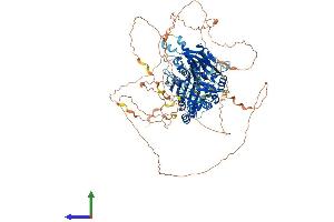 Protein Structure (PS) image for Microtubule-Associated Protein 1S (MAP1S) (AA 1-973) protein (His tag) (ABIN7564482)
