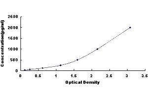 ELISA image for Vascular Endothelial Growth Factor C (VEGFC) ELISA Kit (ABIN3162495) (VEGFC ELISA 试剂盒)