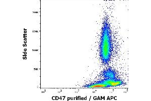 Flow cytometry surface staining pattern of human peripheral blood stained using anti-human CD47 (MEM-122) purified antibody (concentration in sample 4 μg/mL, GAM APC). (CD47 抗体)