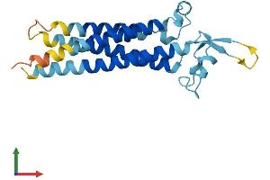 AlphaFold protein structure predicition of Human Recombinant TM4SF19 Protein, UniprotID Q96DZ7
