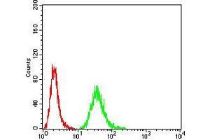 Flow cytometric analysis of HeLa cells using DDX20 mouse mAb (green) and negative control (red).