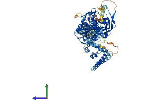 Protein Structure (PS) image for Signal Transducer and Activator of Transcription 4 (STAT4) (AA 1-748) protein (His tag) (ABIN7546450)