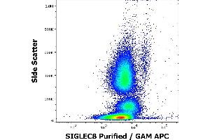 Flow cytometry surface staining pattern of human peripheral whole blood stained using anti-human SIGLEC8 (7C9) purified antibody (concentration in sample 6 μg/mL, GAM APC). (SIGLEC8 抗体  (Extracellular Domain))