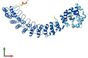 Protein Structure (PS) image for Ankyrin Repeat and SOCS Box-Containing 3 (ASB3) (AA 1-518) protein (His tag) (ABIN7552328)