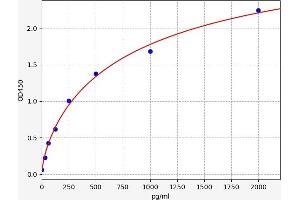 14-3-3 zeta ELISA 试剂盒