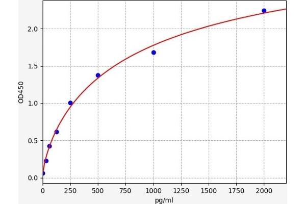 14-3-3 zeta ELISA 试剂盒