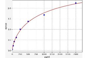 Typical standard curve (14-3-3 zeta ELISA 试剂盒)
