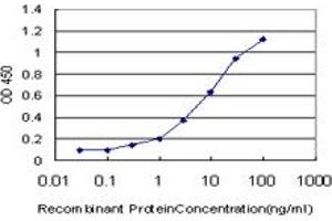 Detection limit for recombinant GST tagged PDLIM7 is approximately 0.