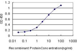 Detection limit for recombinant GST tagged SCGB3A2 is approximately 0. (SCGB3A2 抗体  (AA 1-93))