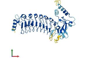 Protein Structure (PS) image for Leucine Rich Repeat Containing 28 (LRRC28) (AA 1-367) protein (His tag) (ABIN7549131)