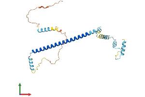 Protein Structure (PS) image for Clathrin, Light Chain A (CLTA) (AA 1-248) protein (His tag) (ABIN7553444)