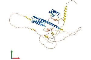 Protein Structure (PS) image for PBX/knotted 1 Homeobox 2 (PKNOX2) (AA 1-474) protein (His tag) (ABIN7558538)