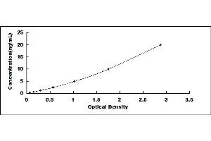 Typical standard curve (IGFBP6 ELISA 试剂盒)