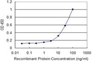 Detection limit for recombinant GST tagged PRDX4 is 0. (Peroxiredoxin 4 抗体  (AA 51-150))