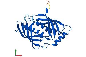 AlphaFold protein structure predicition of Mouse Recombinant Lxn Protein, UniprotID P70202