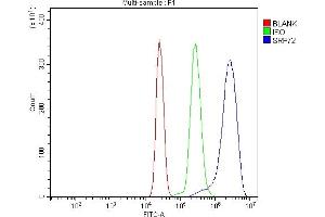 Flow Cytometry analysis of U937 cells using anti-SRP72 antibody (ABIN7601648). (SRP72 抗体  (AA 40-460))