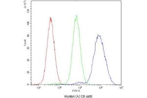 Flow Cytometry (FACS) image for anti-Nuclear Factor I/A (NFIA) (AA 180-224) antibody (ABIN5647218)