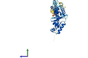 Protein Structure (PS) image for Vacuolar-sorting Protein SNF8 (SNF8) (AA 1-258) protein (His tag) (ABIN7560770)