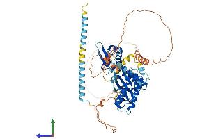 Protein Structure (PS) image for RIO Kinase 2 (RIOK2) (AA 1-552) protein (His tag) (ABIN7551358)