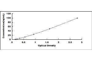Typical standard curve (Lipocalin 2 ELISA 试剂盒)