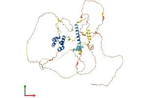 Protein Structure (PS) image for Sterile alpha Motif Domain Containing 11 (SAMD11) (AA 1-542) protein (His tag) (ABIN7557000)