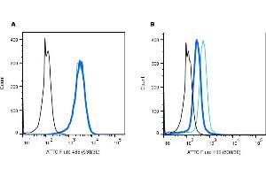 Establishing the effectiveness of the Rabbit IgG Isotype Control-ATTO Fluor-488 (ABIN7582041), alongside cell surface detection of P2RX7 by direct flow cytometry in a live intact human  monocytic leukemia cell line.