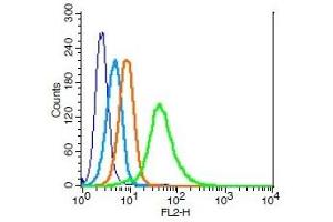 Human U937 cells probed with CDC123 Polyclonal Antibody, Unconjugated  (green) at 1:100 for 30 minutes followed by a PE conjugated secondary antibody compared to unstained cells (blue), secondary only (light blue), and isotype control (orange).