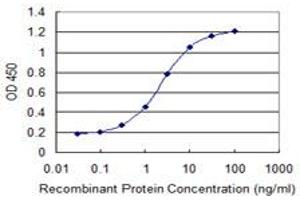 Detection limit for recombinant GST tagged CHRNE is 0. (CHRNE 抗体  (AA 21-130))