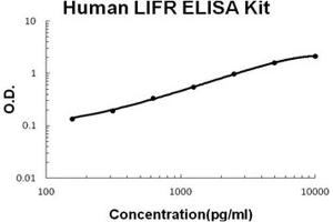 Human LIFR PicoKine ELISA Kit standard curve (LIFR ELISA 试剂盒)