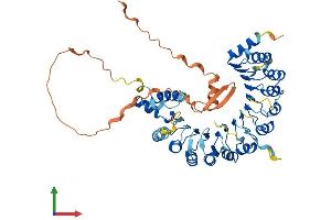 AlphaFold protein structure predicition of Human Recombinant FBXL6 Protein, UniprotID Q8N531