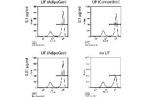 Figure: Human Leukemia Inhibitory Factor (LIF) (rec. (LIF Protein (AA 23-202) (GST tag))