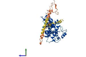 Protein Structure (PS) image for serine/threonine Kinase 40 (STK40) (AA 1-435) protein (His tag) (ABIN7558235)
