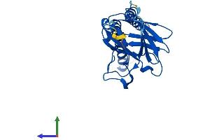 Protein Structure (PS) image for Cytochrome C Oxidase Subunit II (COX2) (AA 1-227) protein (His tag) (ABIN7546653)
