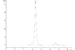 The purity of Human PVRIG is greater than 95 % as determined by SEC-HPLC. (PVRIG Protein (mFc Tag))