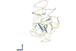 Protein Structure (PS) image for Chromosome 1 Open Reading Frame 116 (c1orf116) (AA 1-606) protein (His tag) (ABIN7558668)