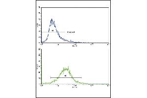 Flow Cytometry (FACS) image for anti-Collagen, Type VI, alpha 1 (COL6A1) (AA 48-77), (N-Term) antibody (ABIN390512)