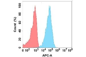 Flow cytometry analysis with Anti-CA on Expi293 cells transfected with human CA (Blue histogram) or Expi293 transfected with irrelevant protein (Red histogram).