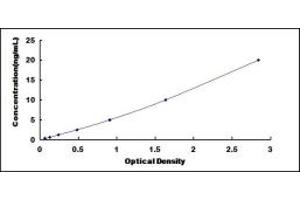 Typical standard curve (ZNRD1 ELISA 试剂盒)