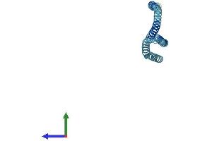 AlphaFold protein structure predicition of Human Recombinant GOSR2 Protein, UniprotID O14653 (GOSR2 Protein (AA 1-212) (His tag))
