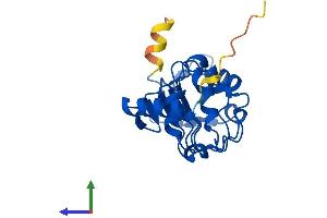 AlphaFold protein structure predicition of Human Recombinant LRRC51 Protein, UniprotID Q96E66