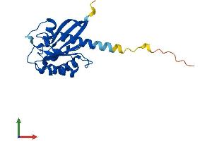 Protein Structure (PS) image for RAB9B, Member RAS Oncogene Family (RAB9B) (AA 1-201) protein (His tag) (ABIN7551249)