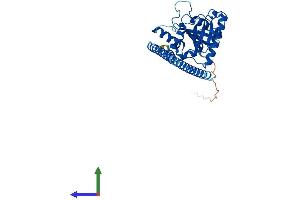 Protein Structure (PS) image for GTPase, IMAP Family Member 5 (GIMAP5) (AA 1-307) protein (His tag) (ABIN7547924)