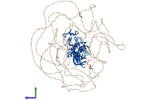 AlphaFold protein structure predicition of Human Recombinant HIPK1 Protein, UniprotID Q86Z02