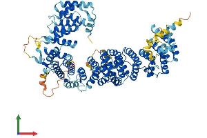 AlphaFold protein structure predicition of Mouse Recombinant Ap5z1 Protein, UniprotID Q3U829